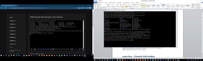 Print Tela Erro Critico Wordpress Eww